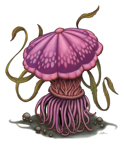 Fungus, Shrieker