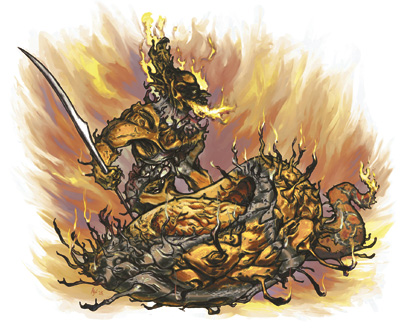 Salamander