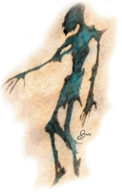 Shadow