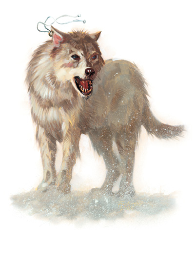 Winter Wolf