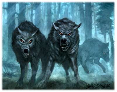 Worg