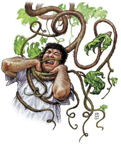 Assassin Vine
